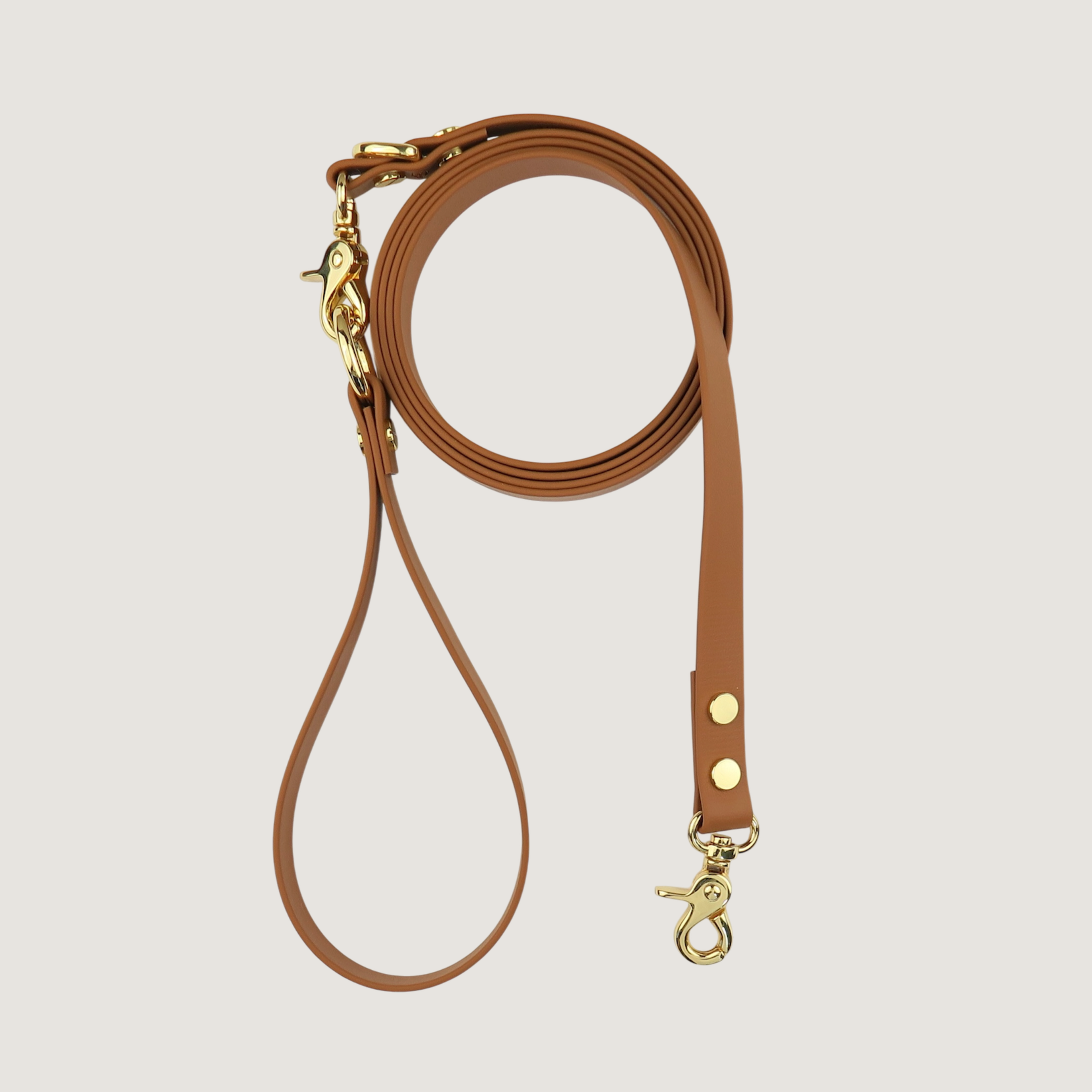 Dog Leash Leather