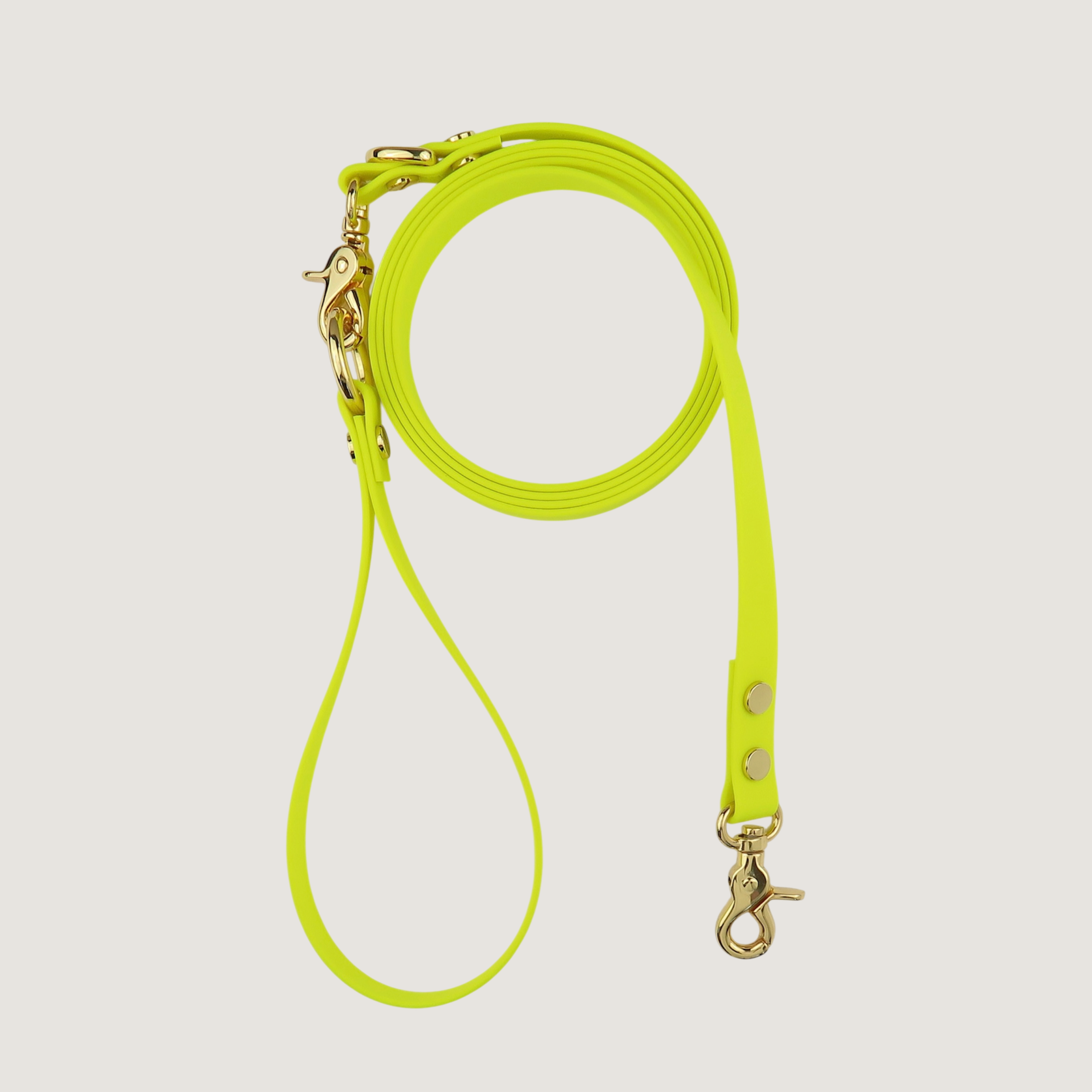 Dog Leash Northern Yellow