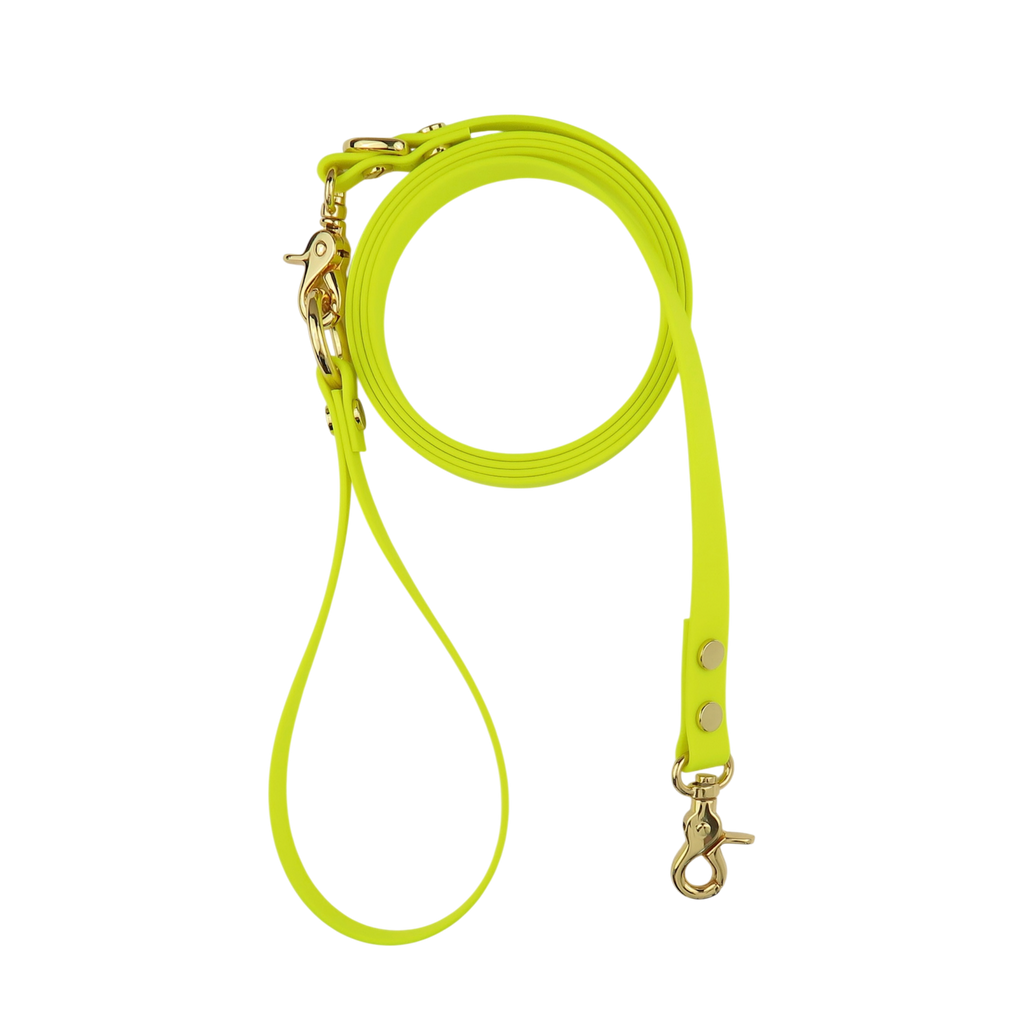 Dog Leash Northern Yellow