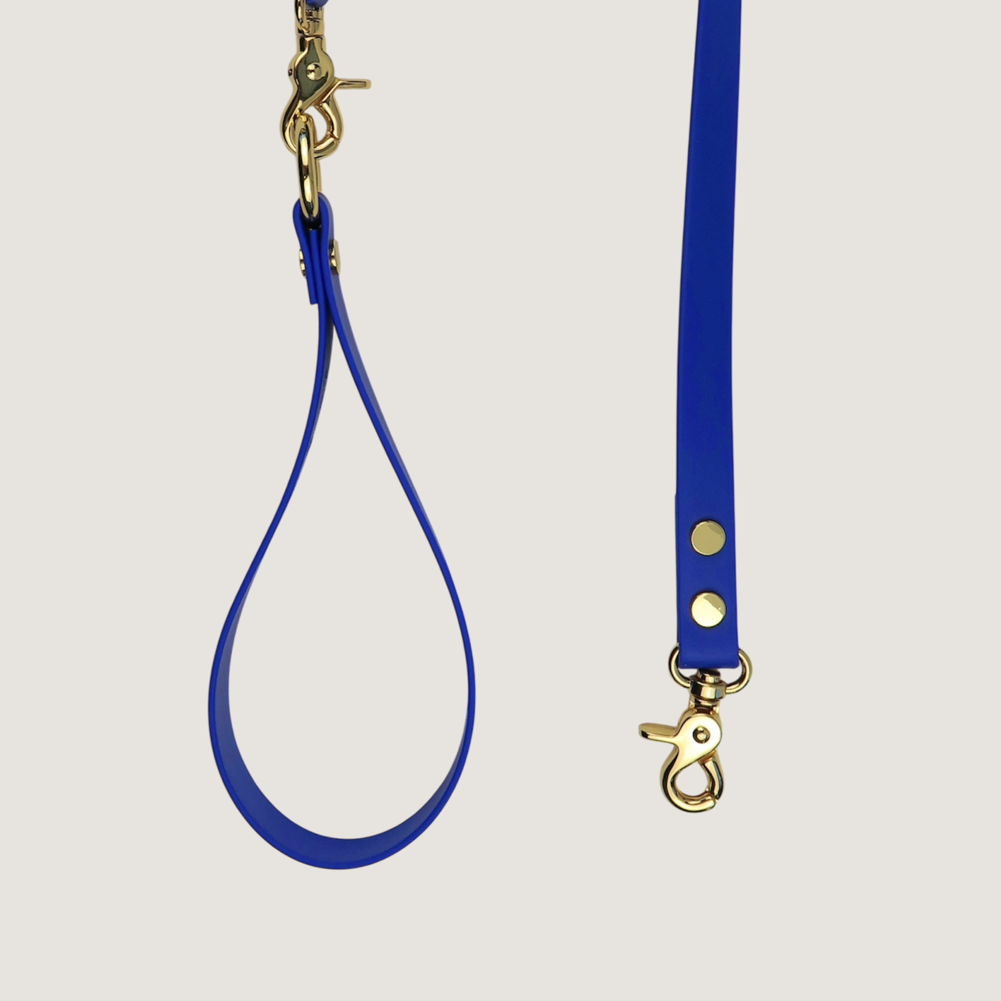 Dog Leash Northern Blue