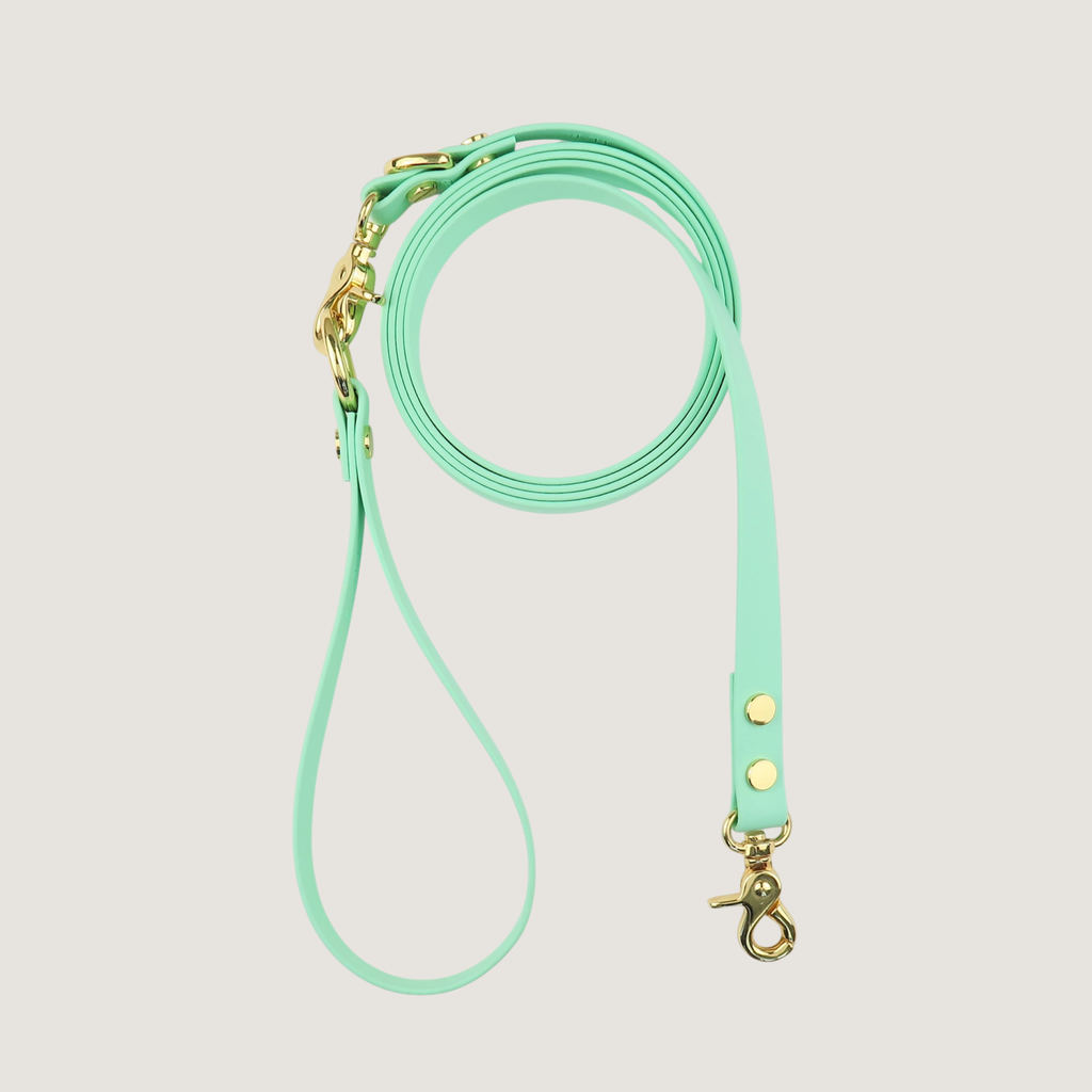 Dog Leash Texas Frio