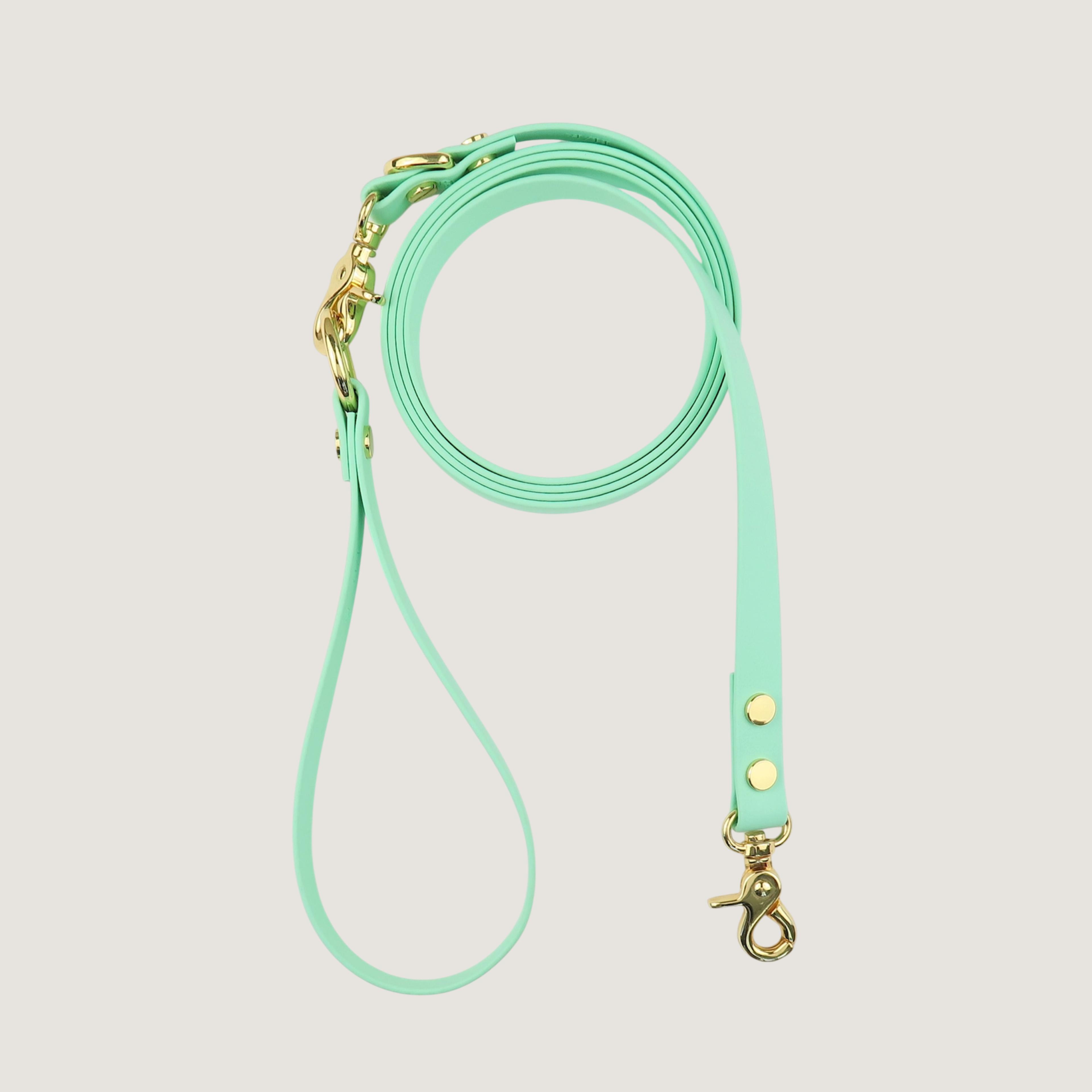 Dog Leash Texas Frio