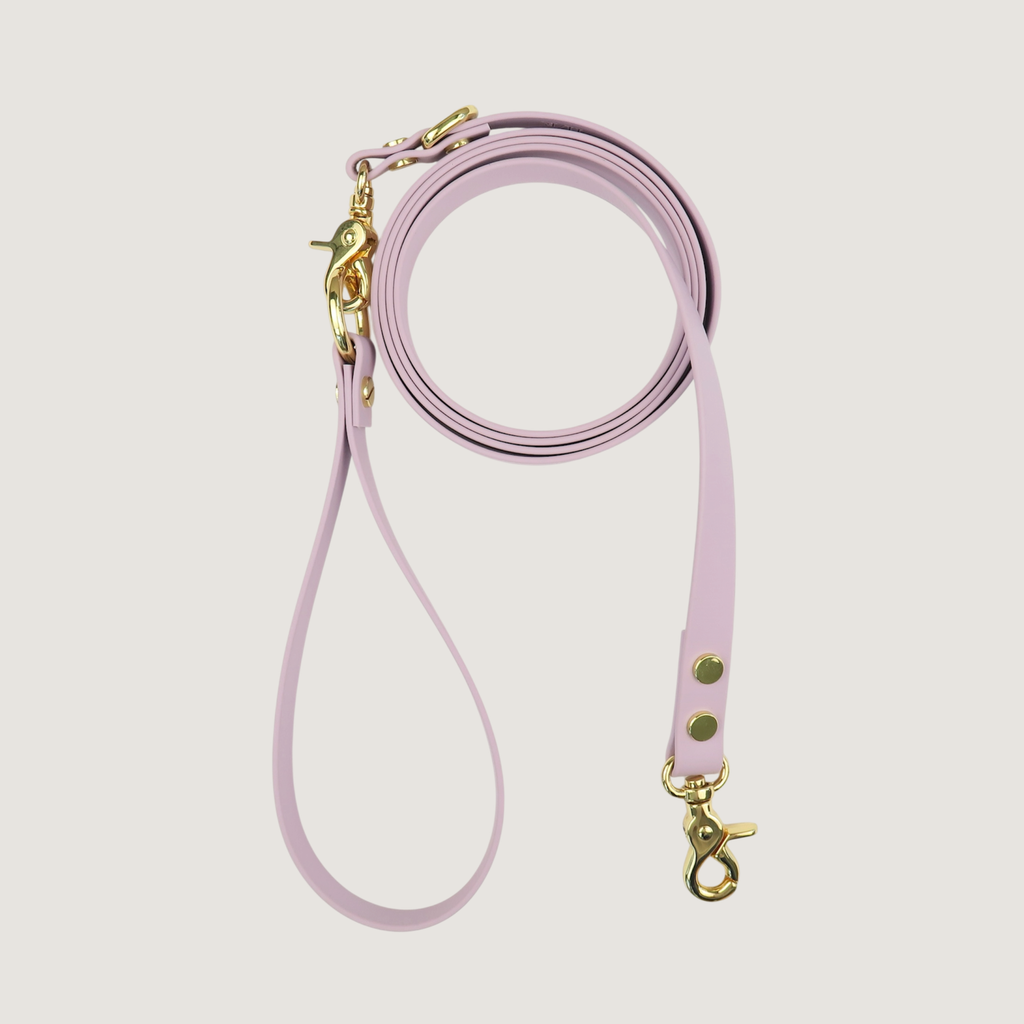 Dog Leash Texas Laurel Dog