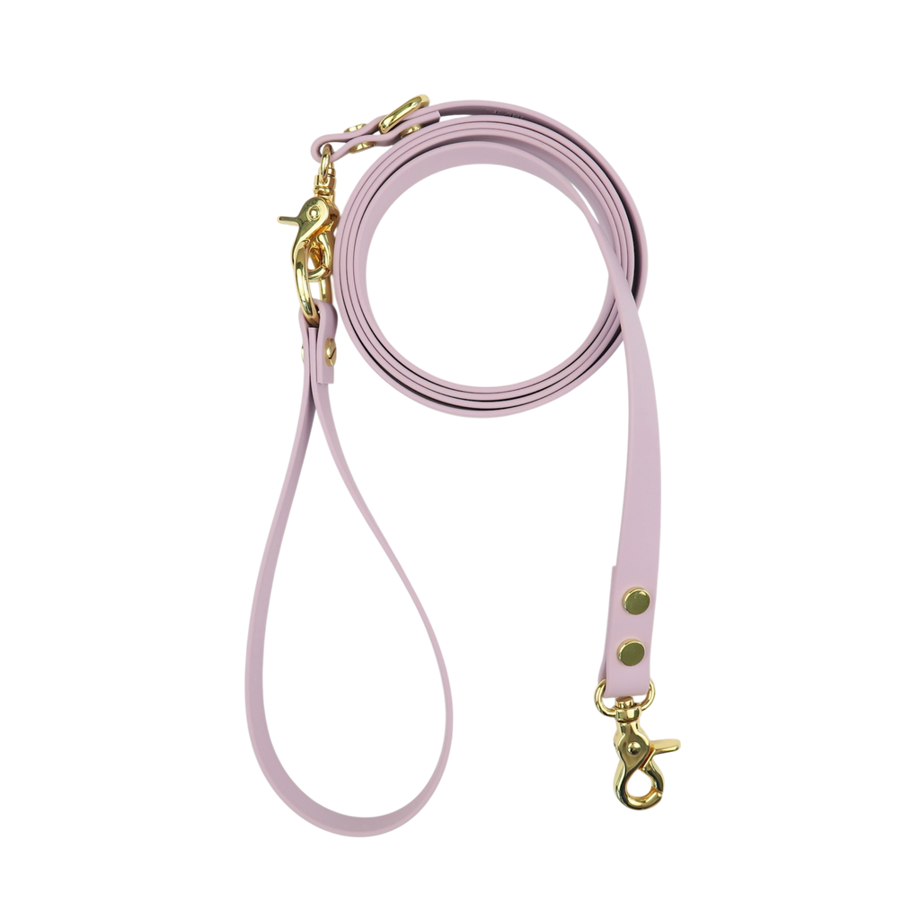 Dog Leash Texas Laurel Dog
