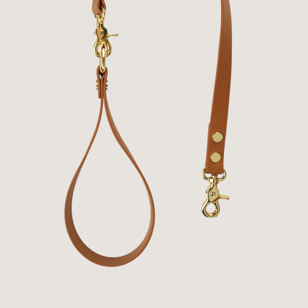 Dog Leash Brown