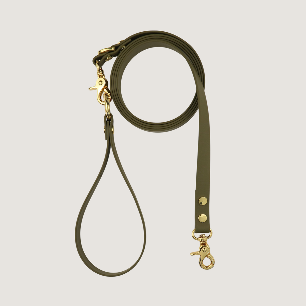 Dog Leash Olive