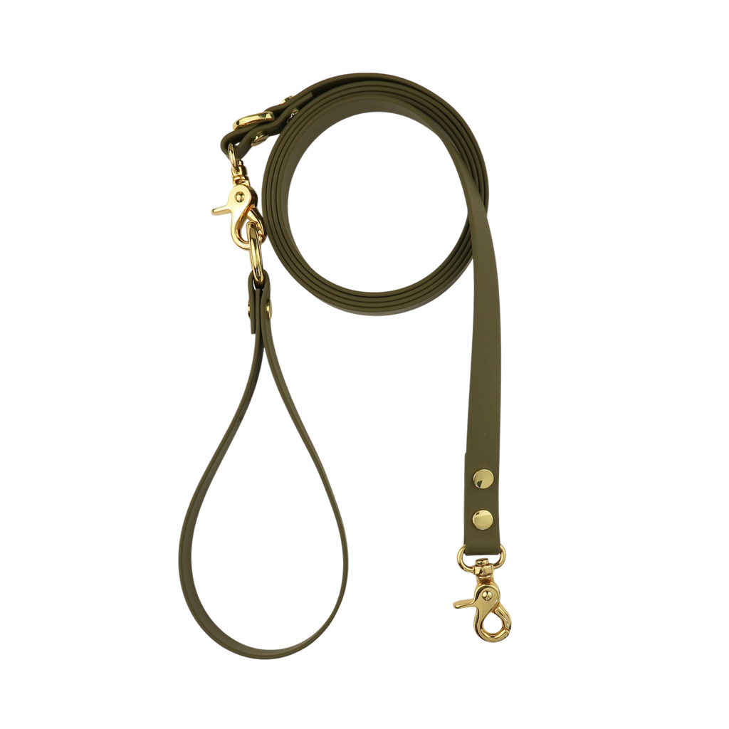 Dog Leash Olive
