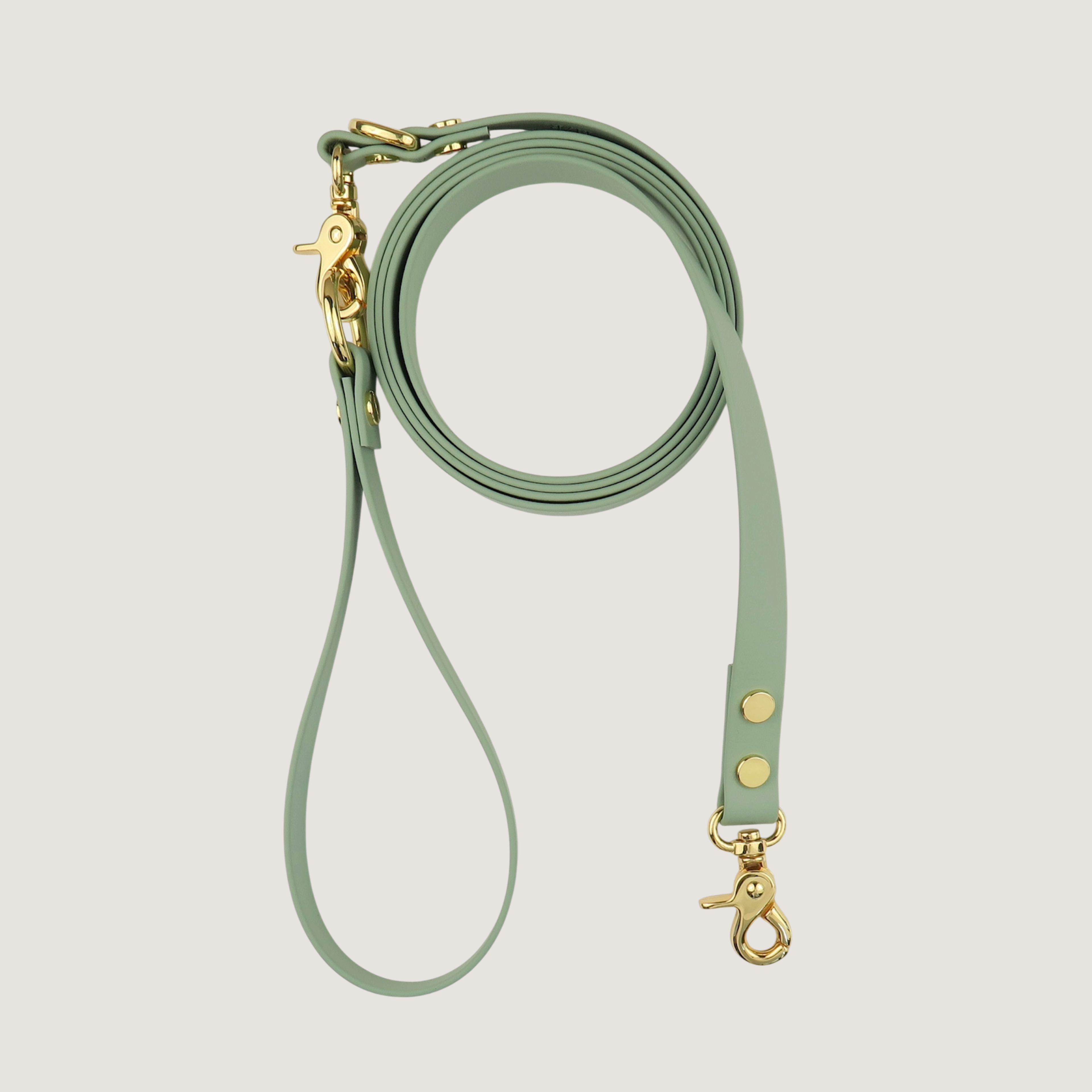 Dog Leash Sage