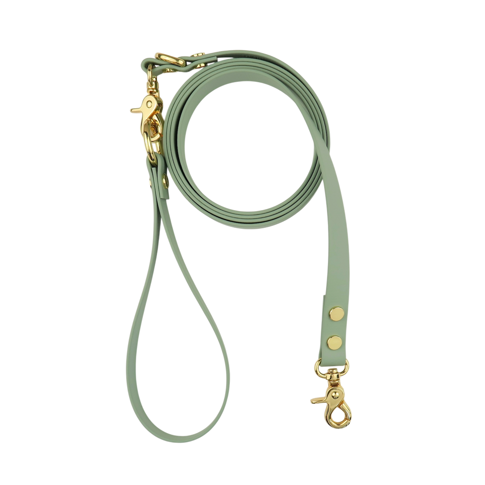 Dog Leash Sage