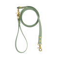 Dog Leash Sage