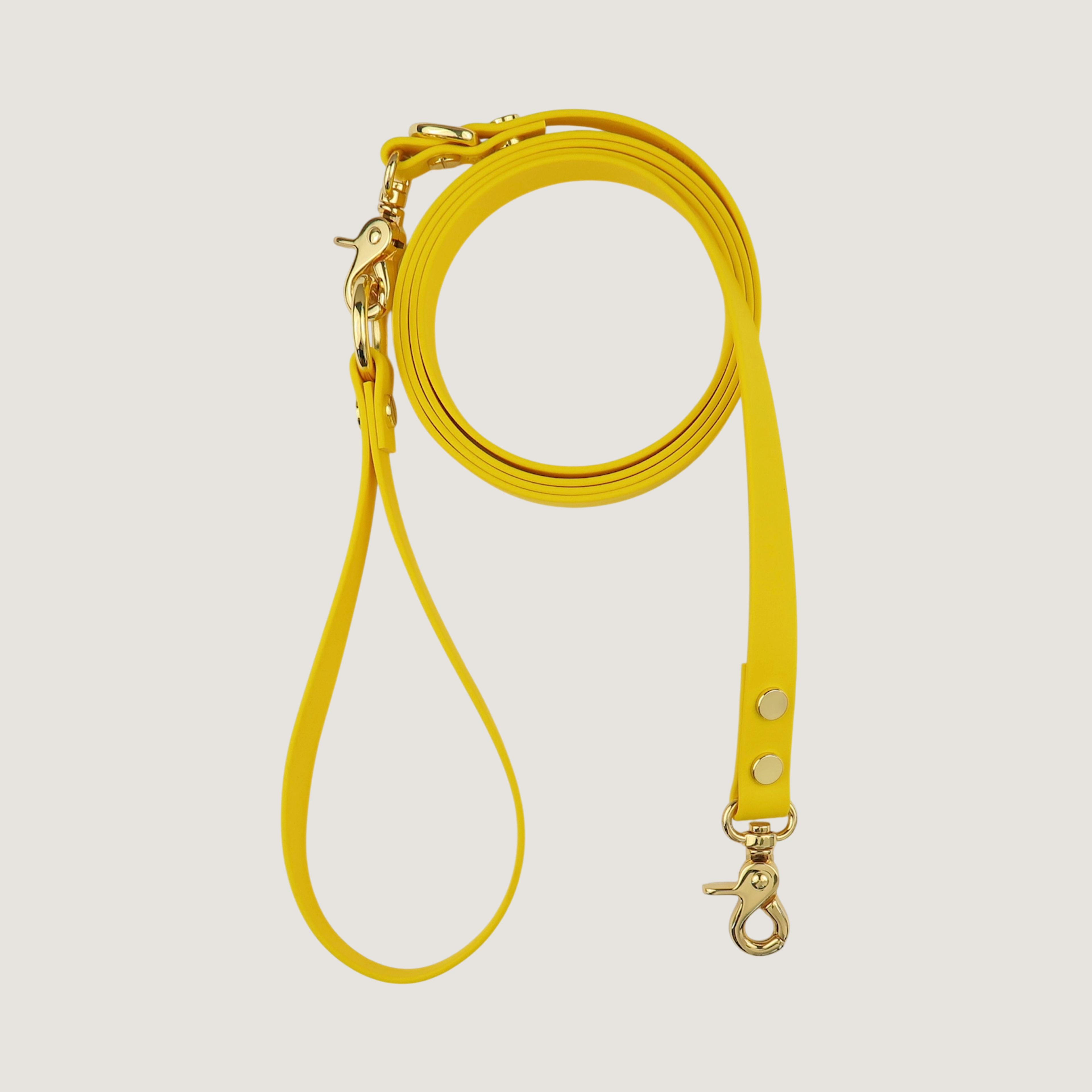 Dog Leash Texas Sunflower