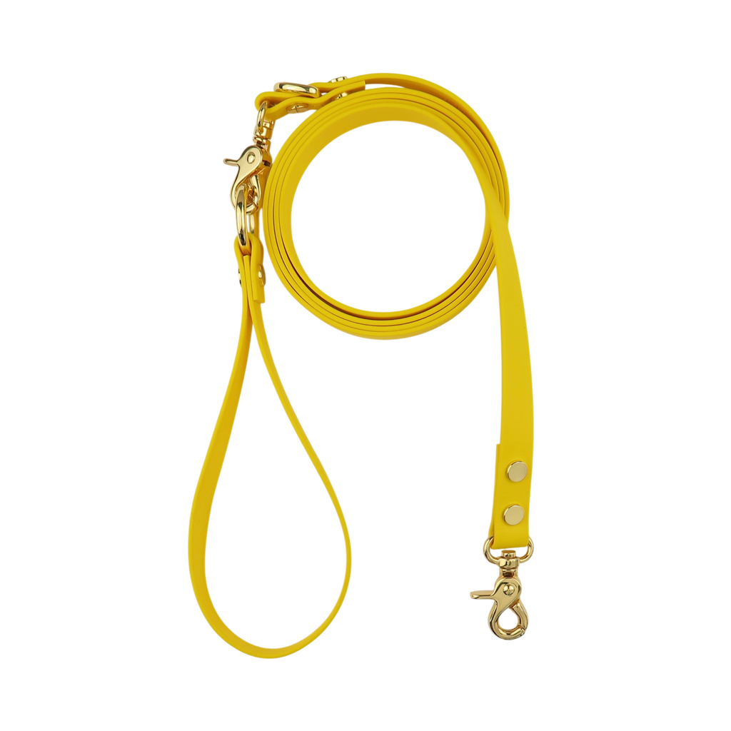 Dog Leash Texas Sunflower