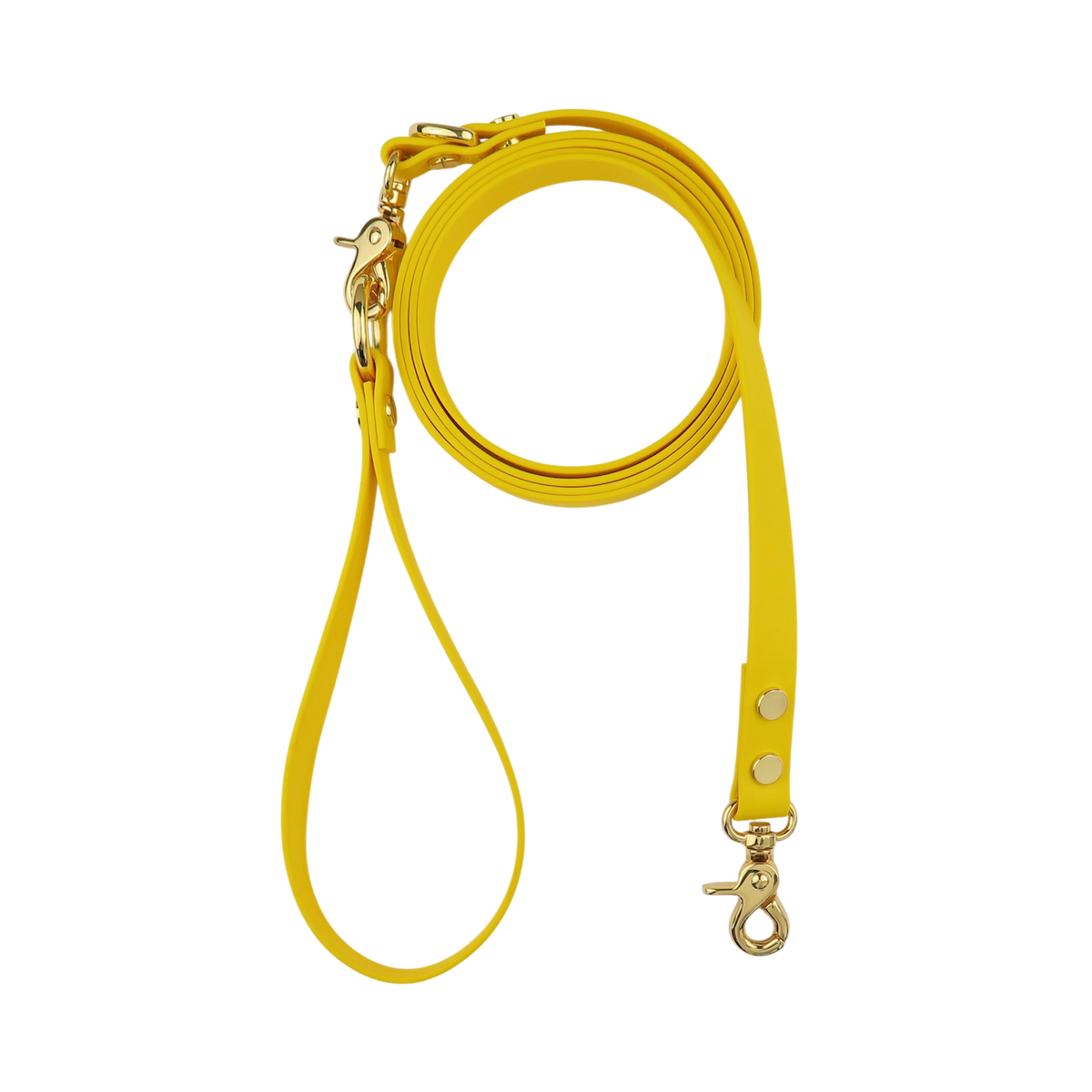Dog Leash Texas Sunflower
