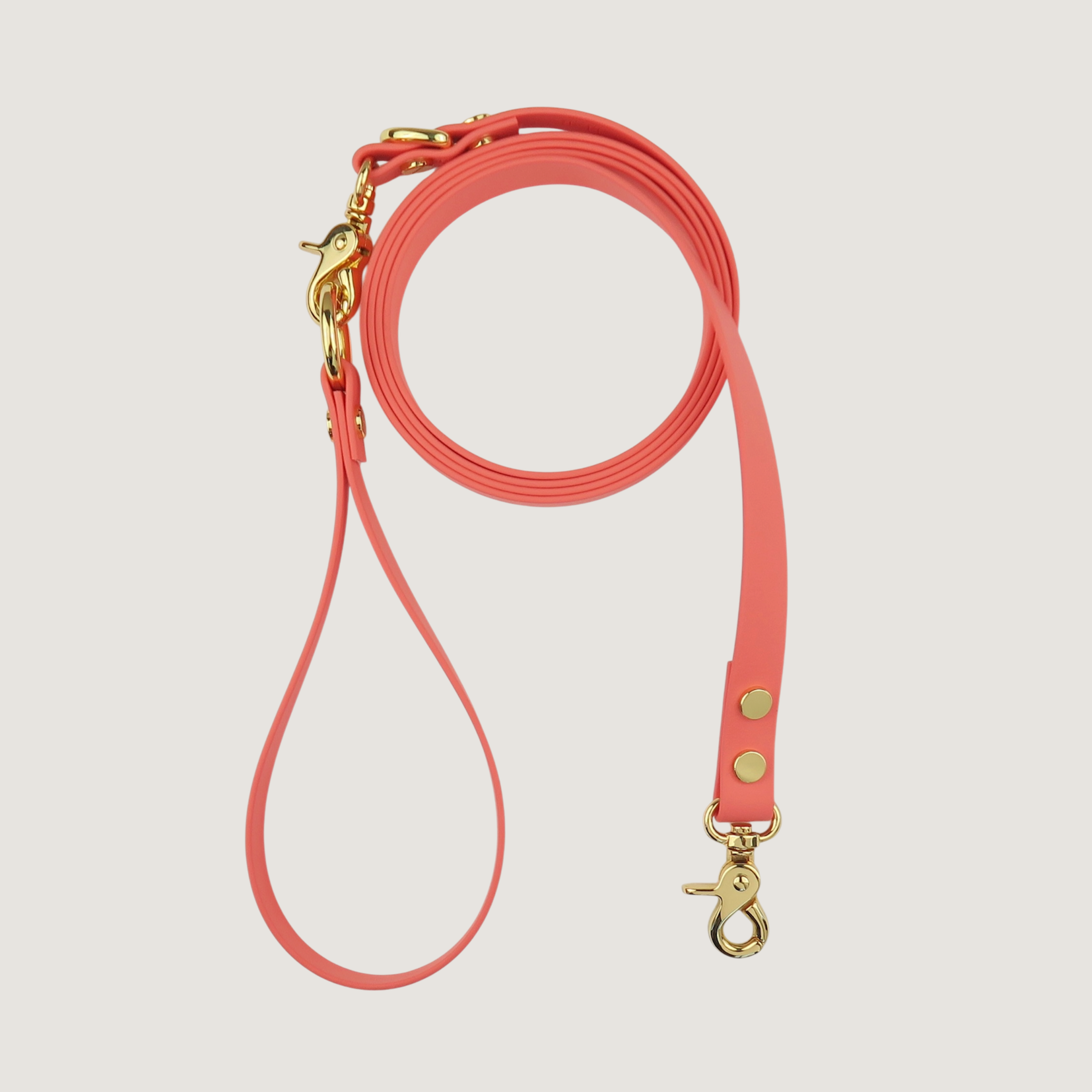 Dog Texas Sunset Dog Leash