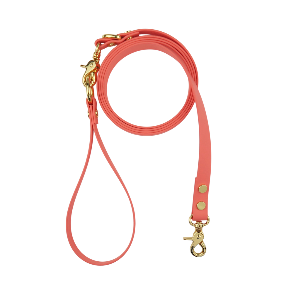 Dog Texas Sunset Dog Leash