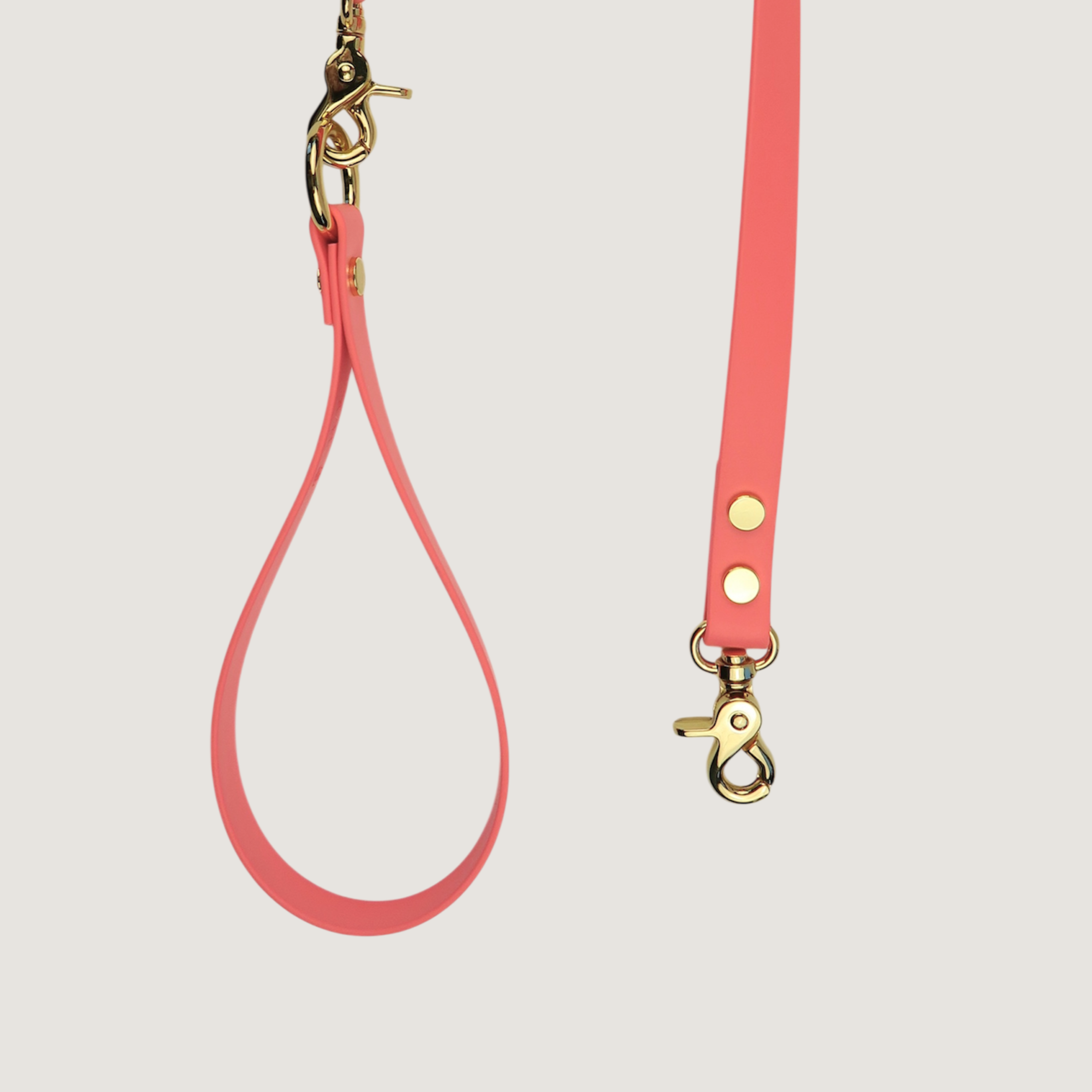 Texas Sunset Dog Leash