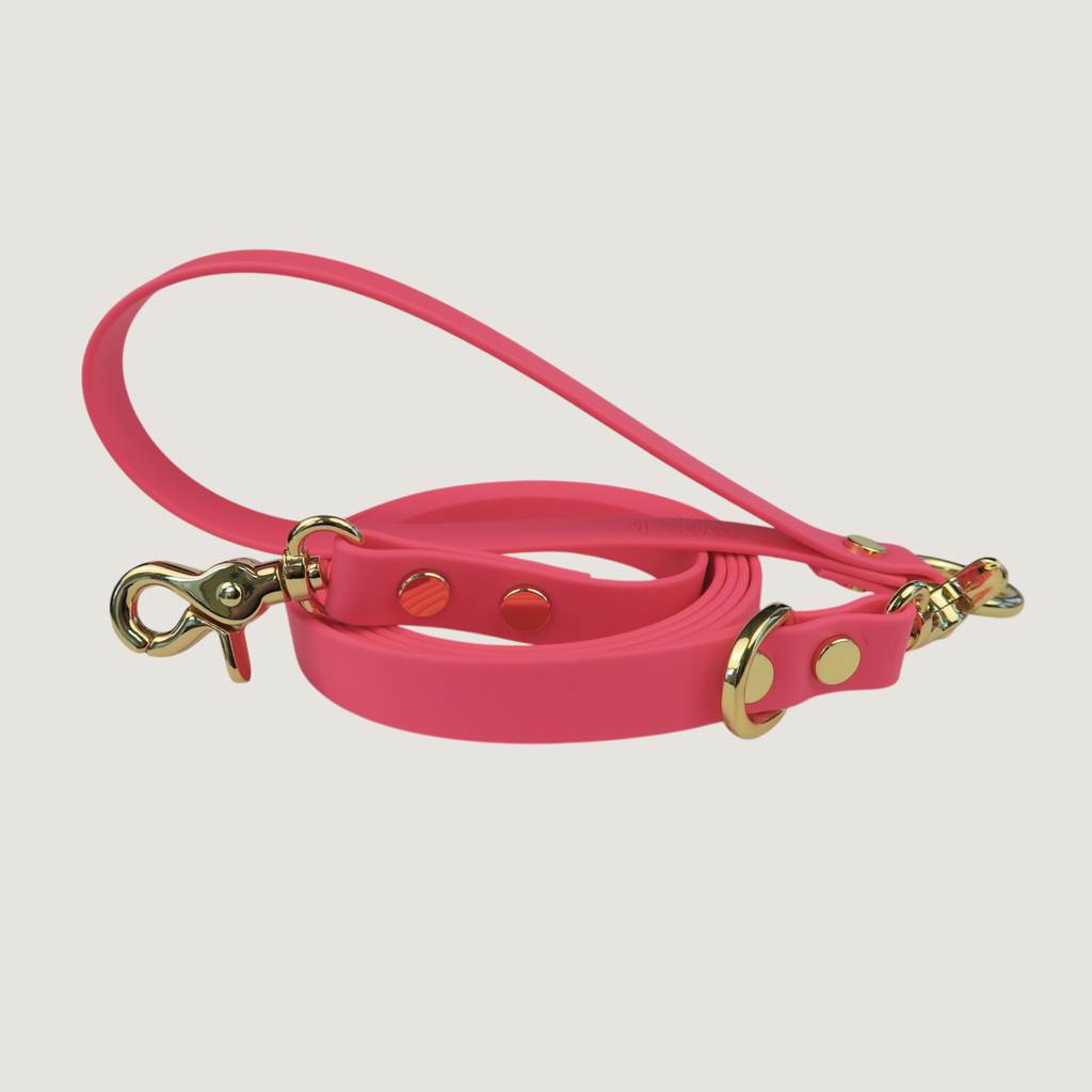 Dog Leash Northern Pink