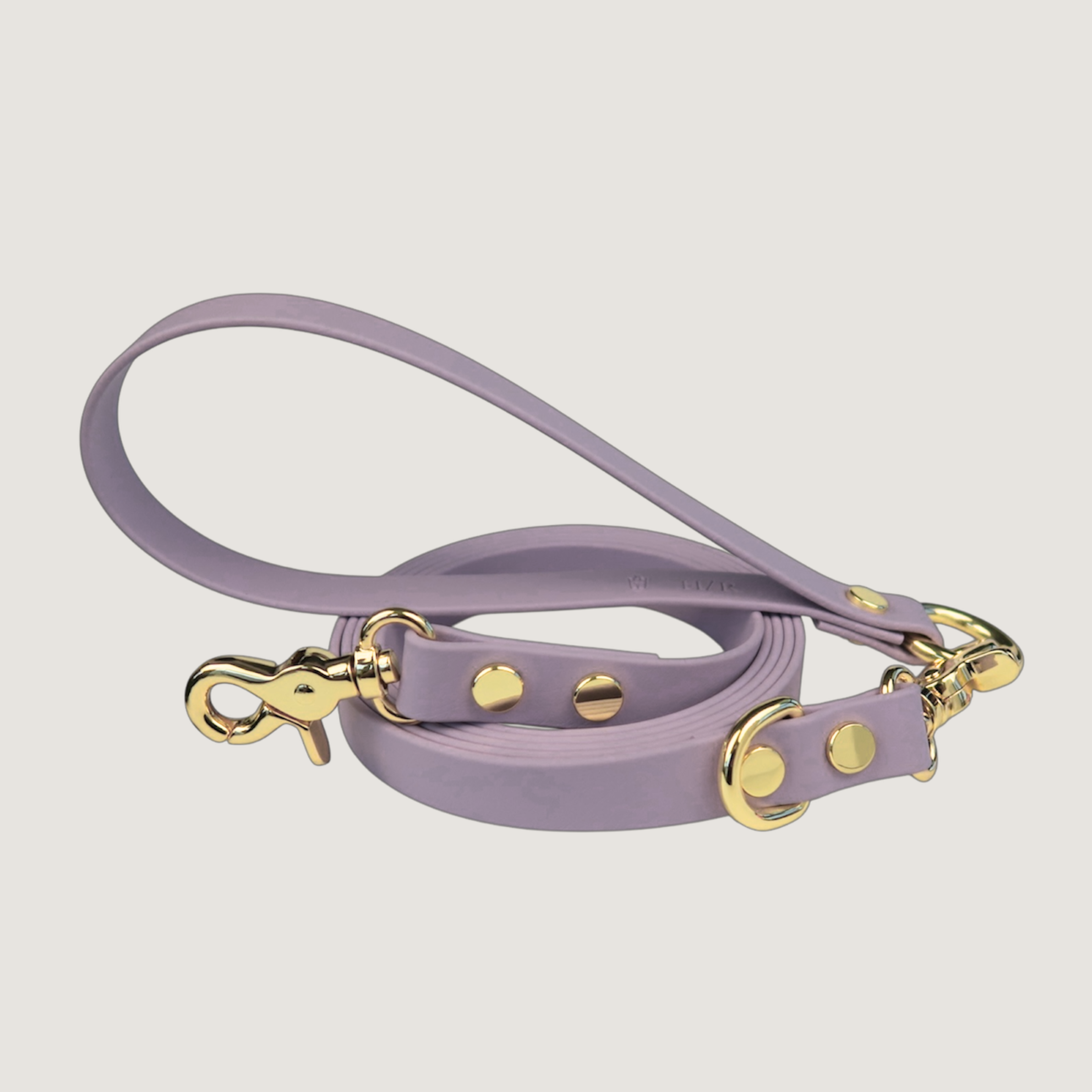 Dog Leash Texas Laurel Dog