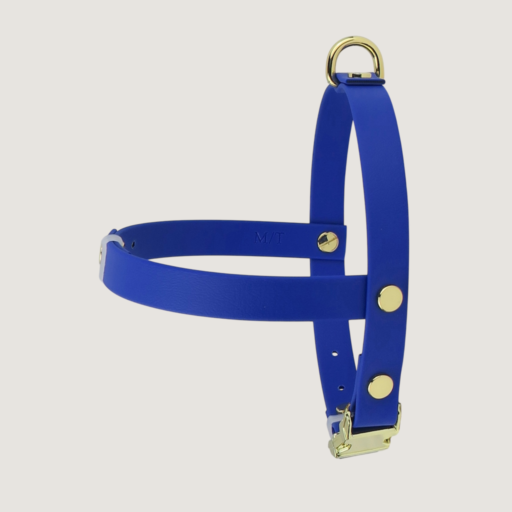 Medium Dog Harness Northern Blue