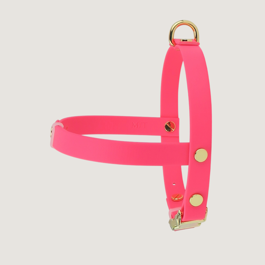 Medium Dog Harness Northern Pink