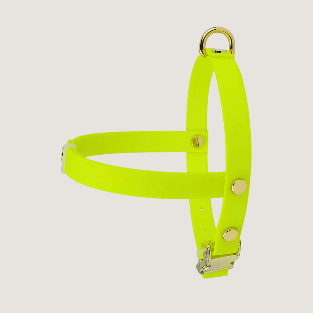 Medium Dog Harness Northern Yellow