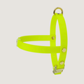 Medium Dog Harness Northern Yellow