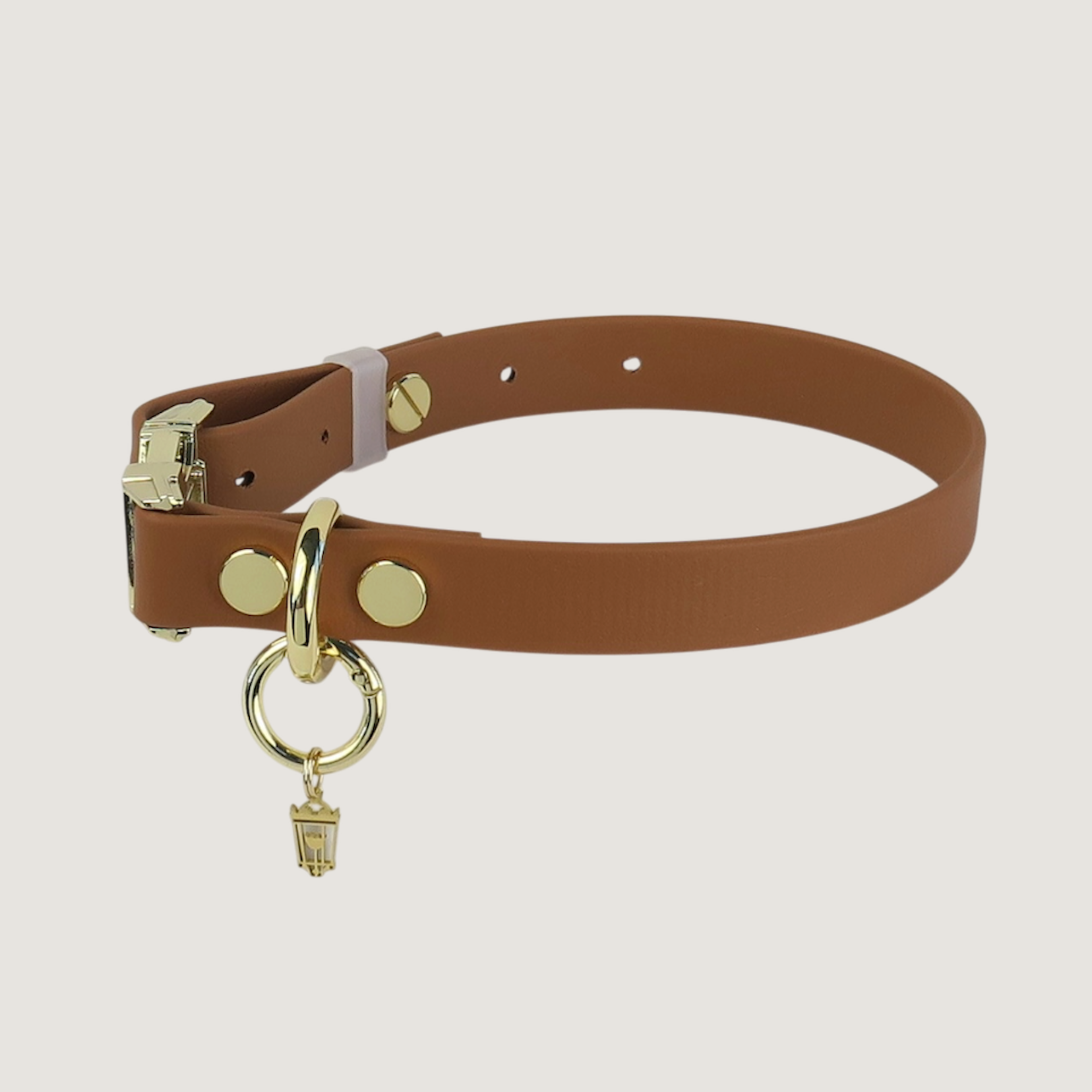 Medium Dog Collar Leather
