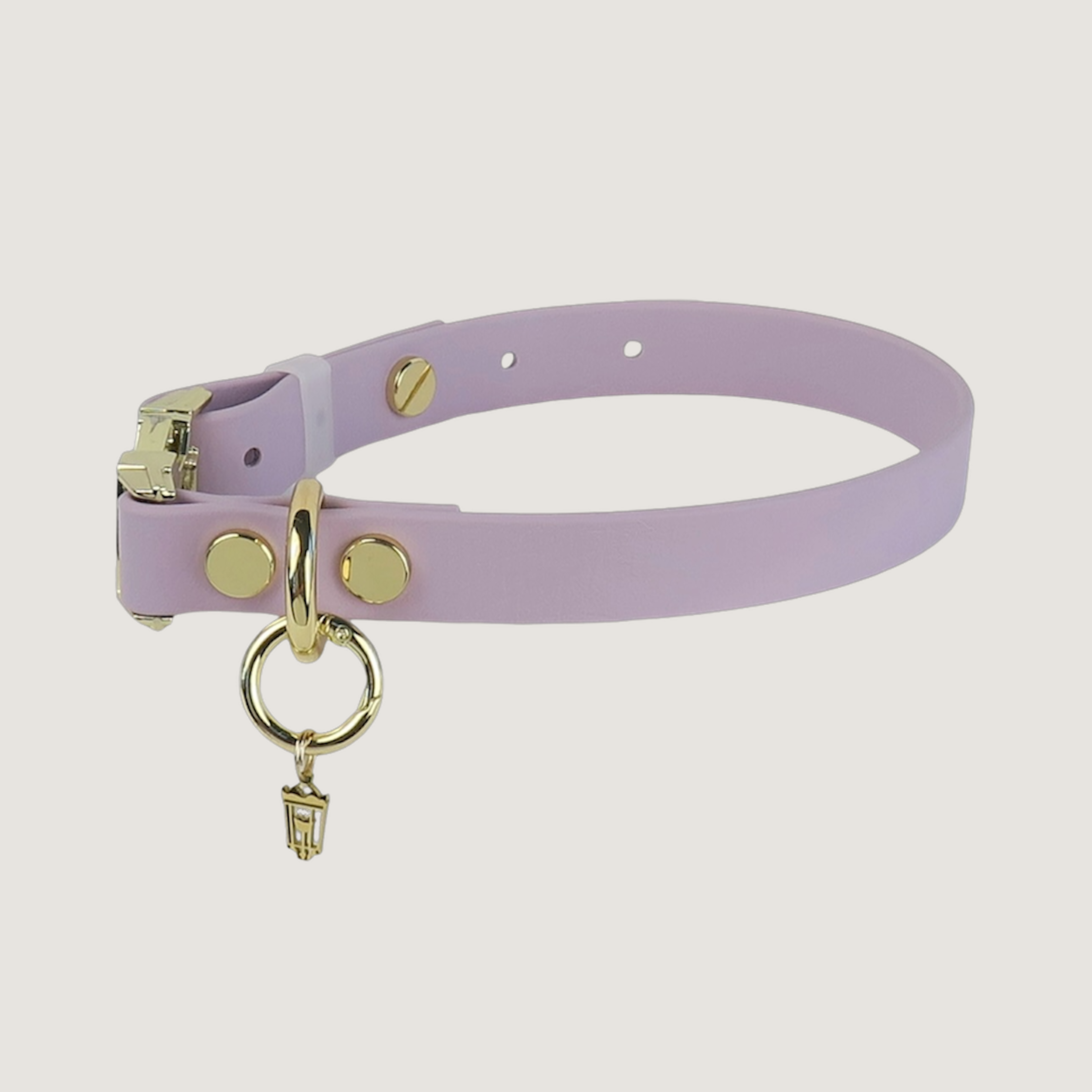 Medium Dog Collar Texas Laurel