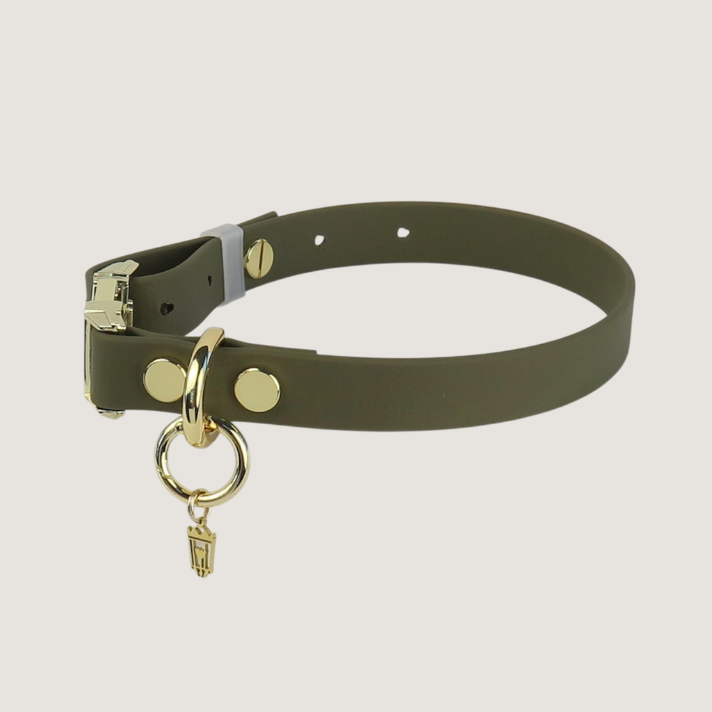 Medium Dog Collar Olive