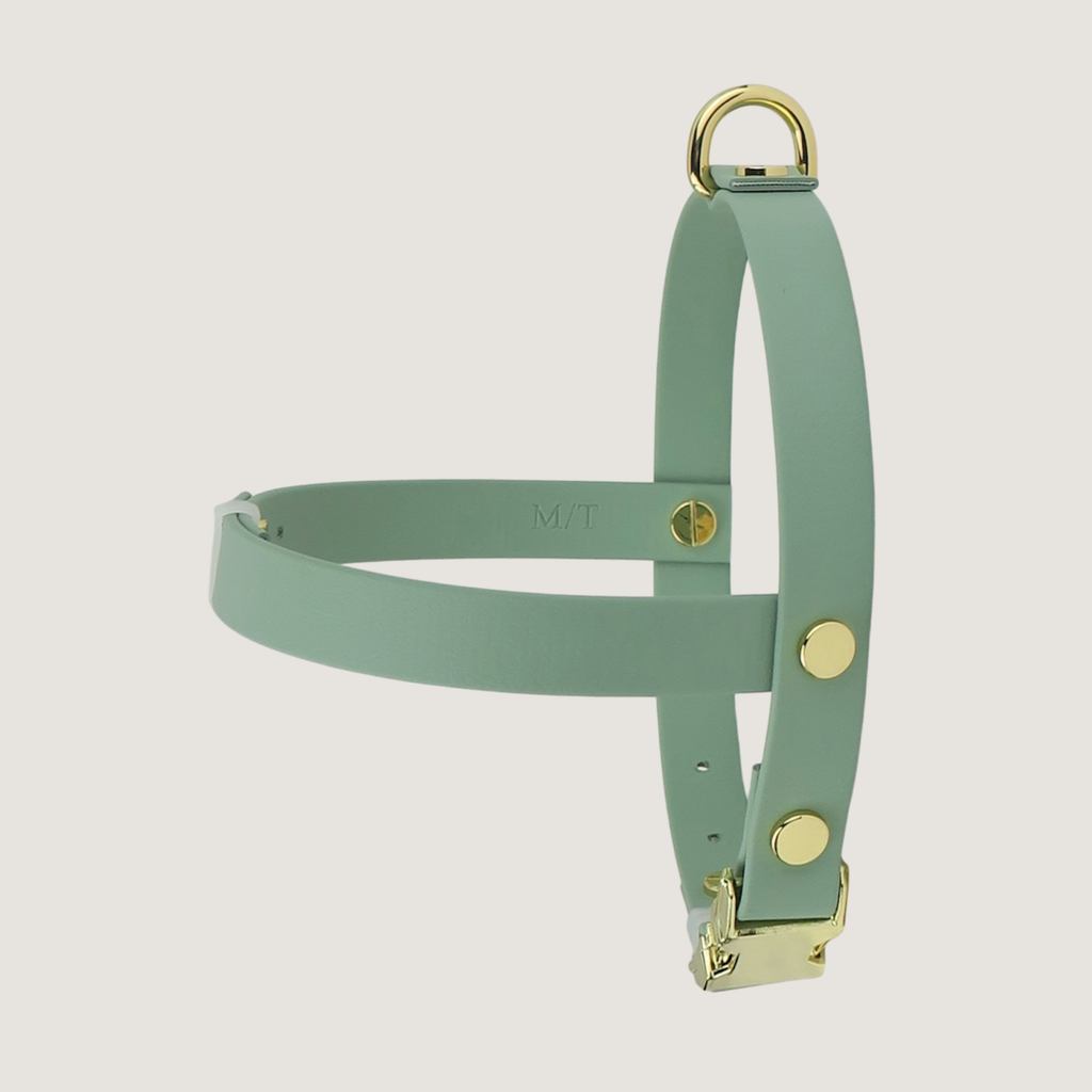 Medium Dog Harness Sage