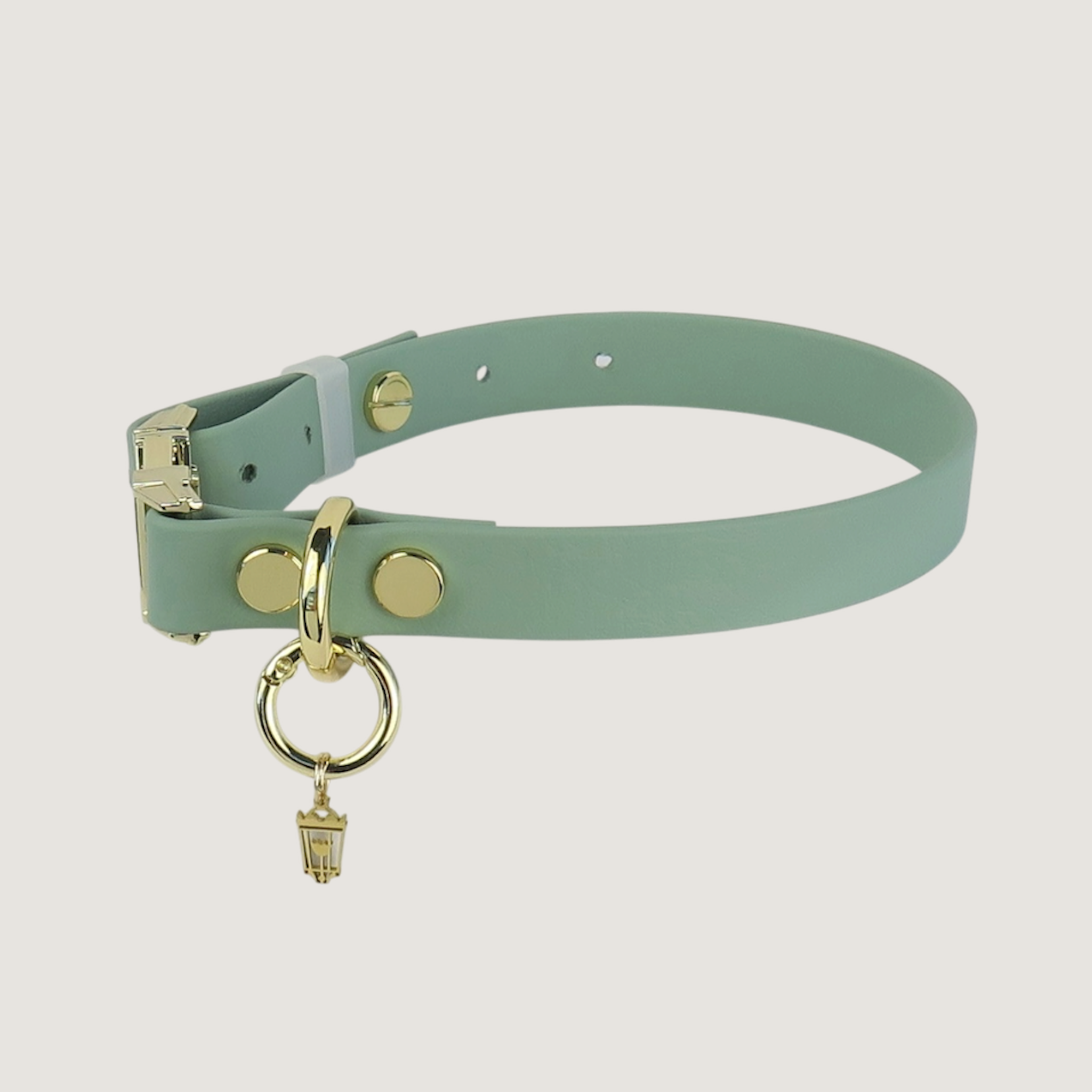Medium Dog Collar Sage