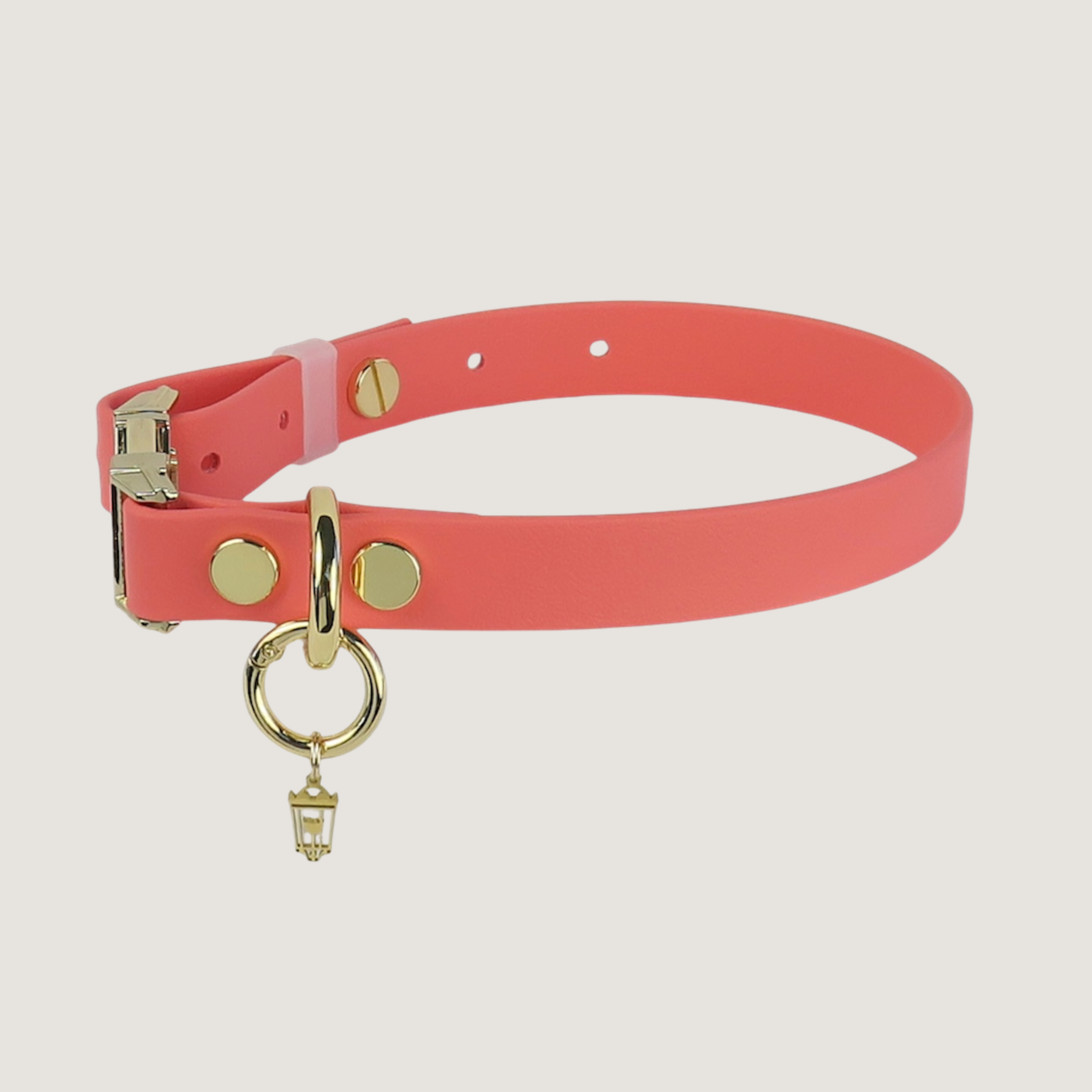 Medium Dog Collar Texas Sunset