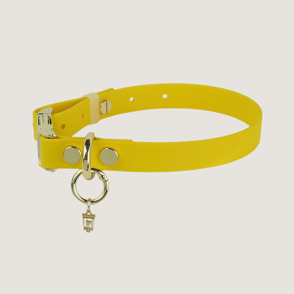 Medium Dog Collar Texas Sunflower
