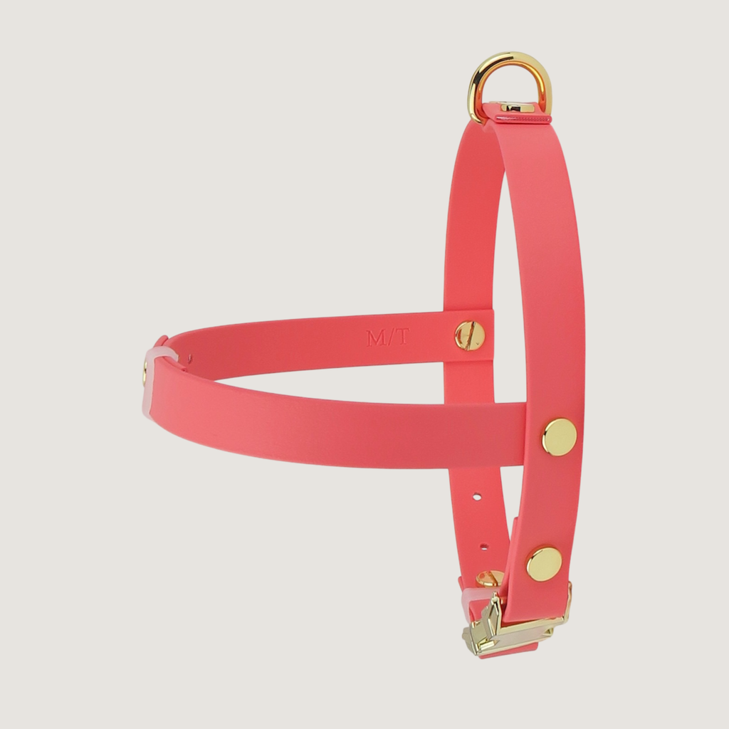 Medium Dog Harness Texas Sunset