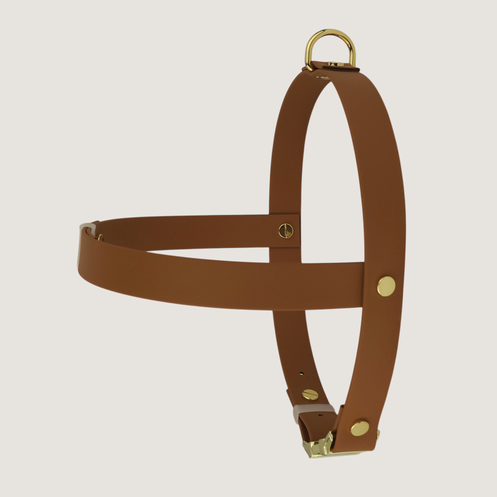 Large Dog Harness Leather