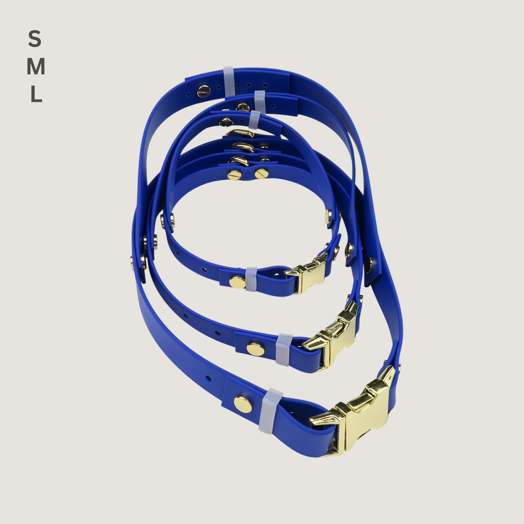 Small Dog Harness Northern Blue
