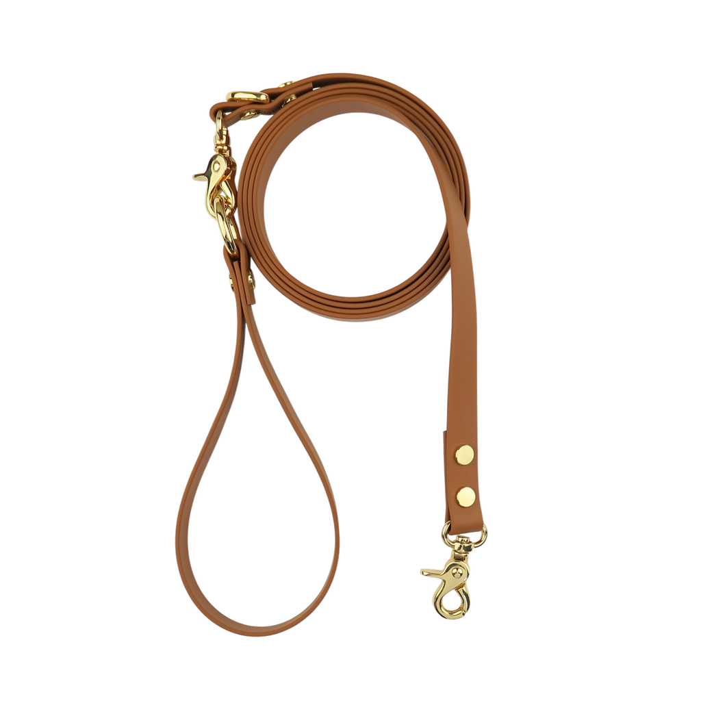 Dog Leash Leather