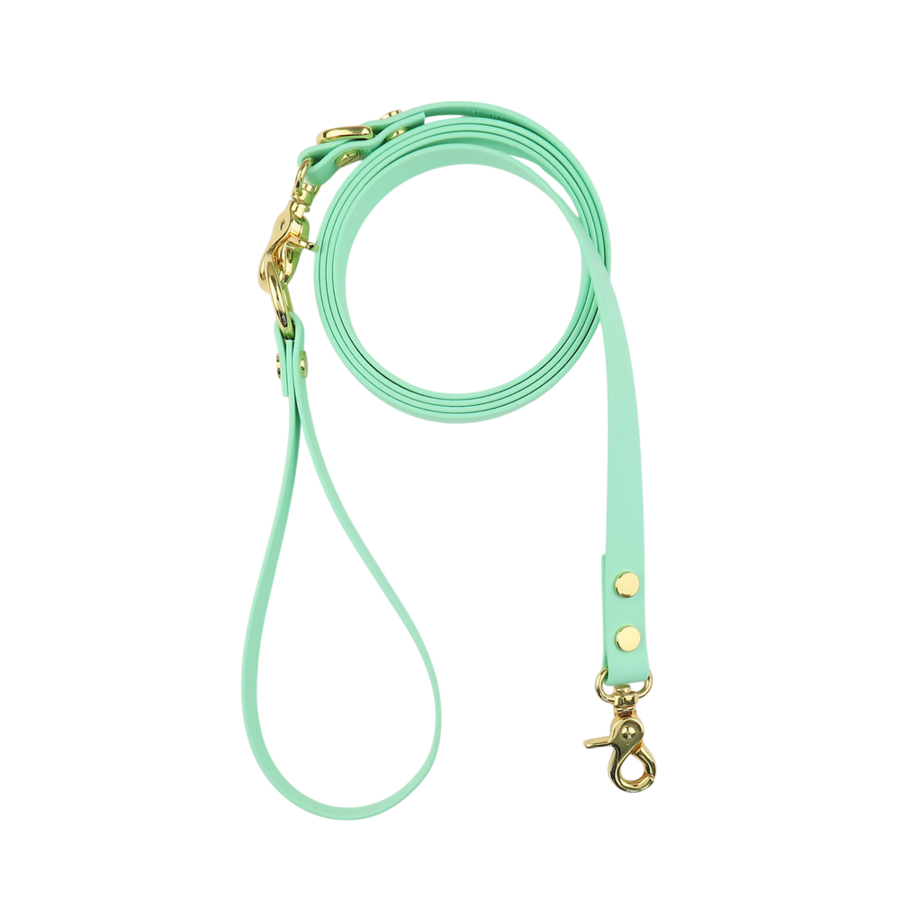 Dog Leash Texas Frio