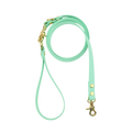 Dog Leash Texas Frio