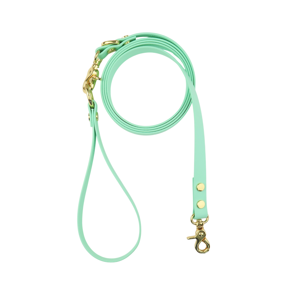 Dog Leash Texas Frio
