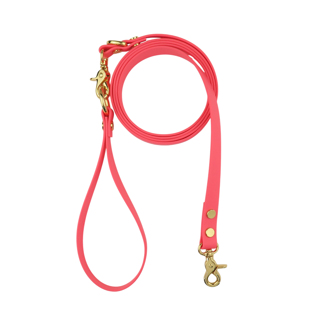 Dog Leash Northern Pink
