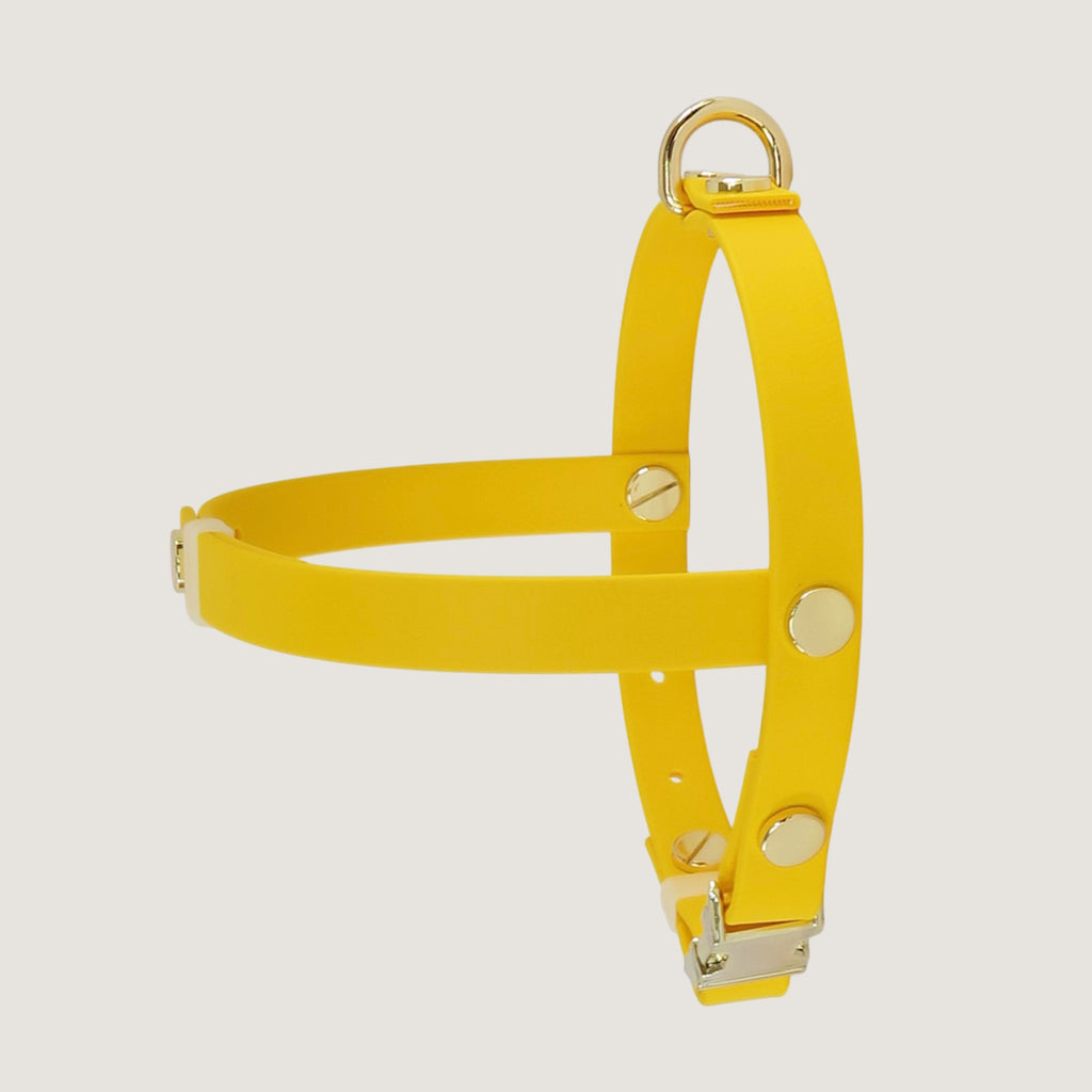 Small Dog Harness Texas Sunflower