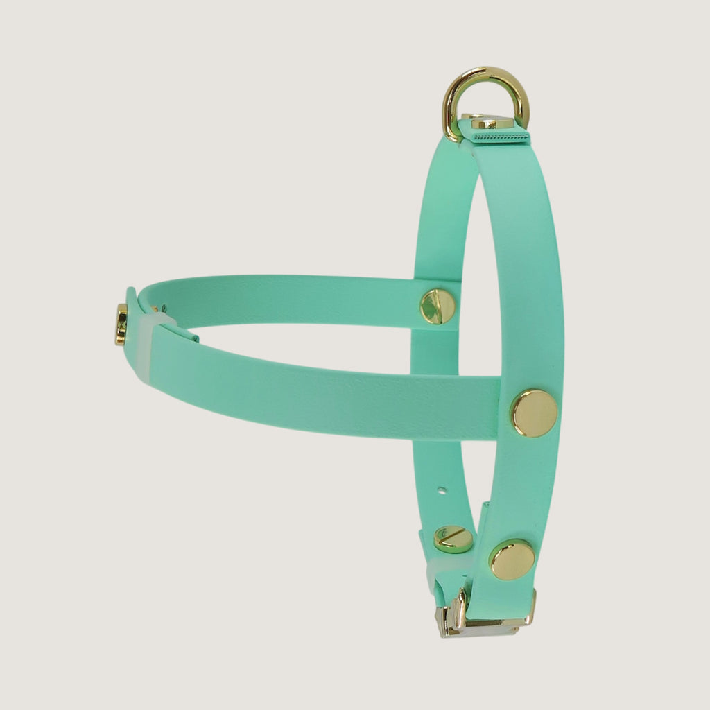 Small Dog Harness Texas Frio