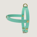Small Dog Harness Texas Frio
