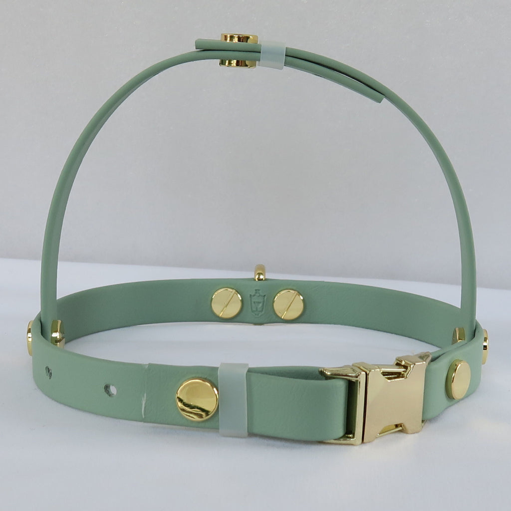 Small Dog Harness Sage