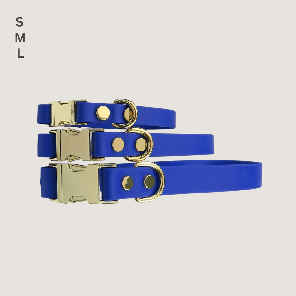 Medium Dog Collar Northern Blue
