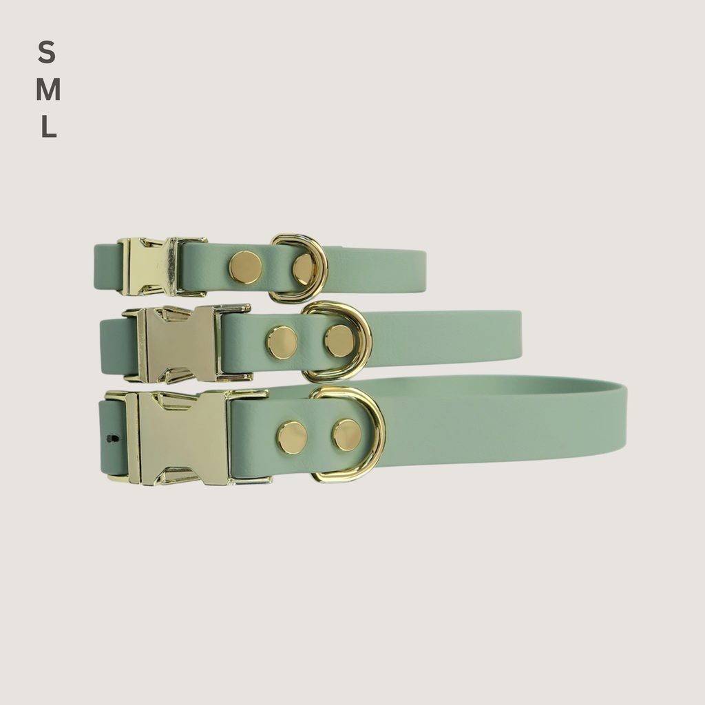 Medium Dog Collar Sage