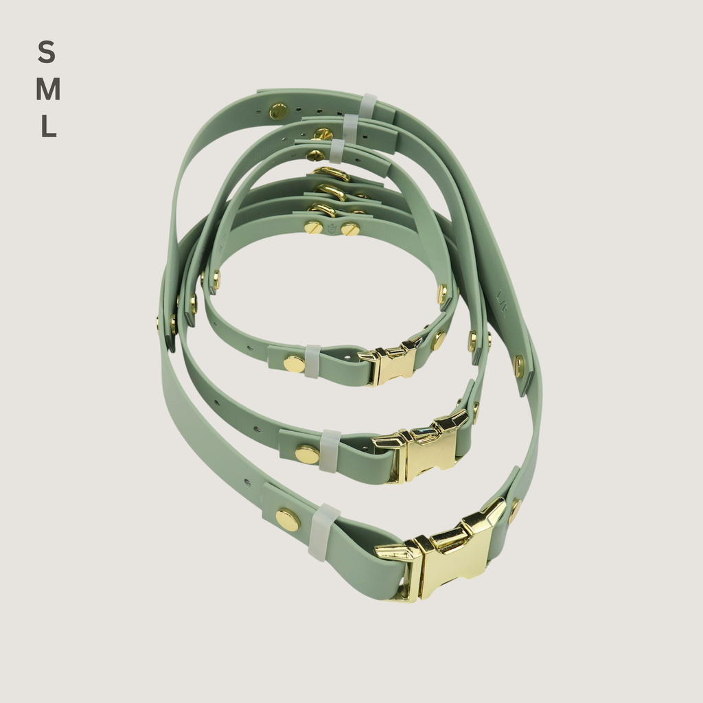 Medium Dog Harness Sage