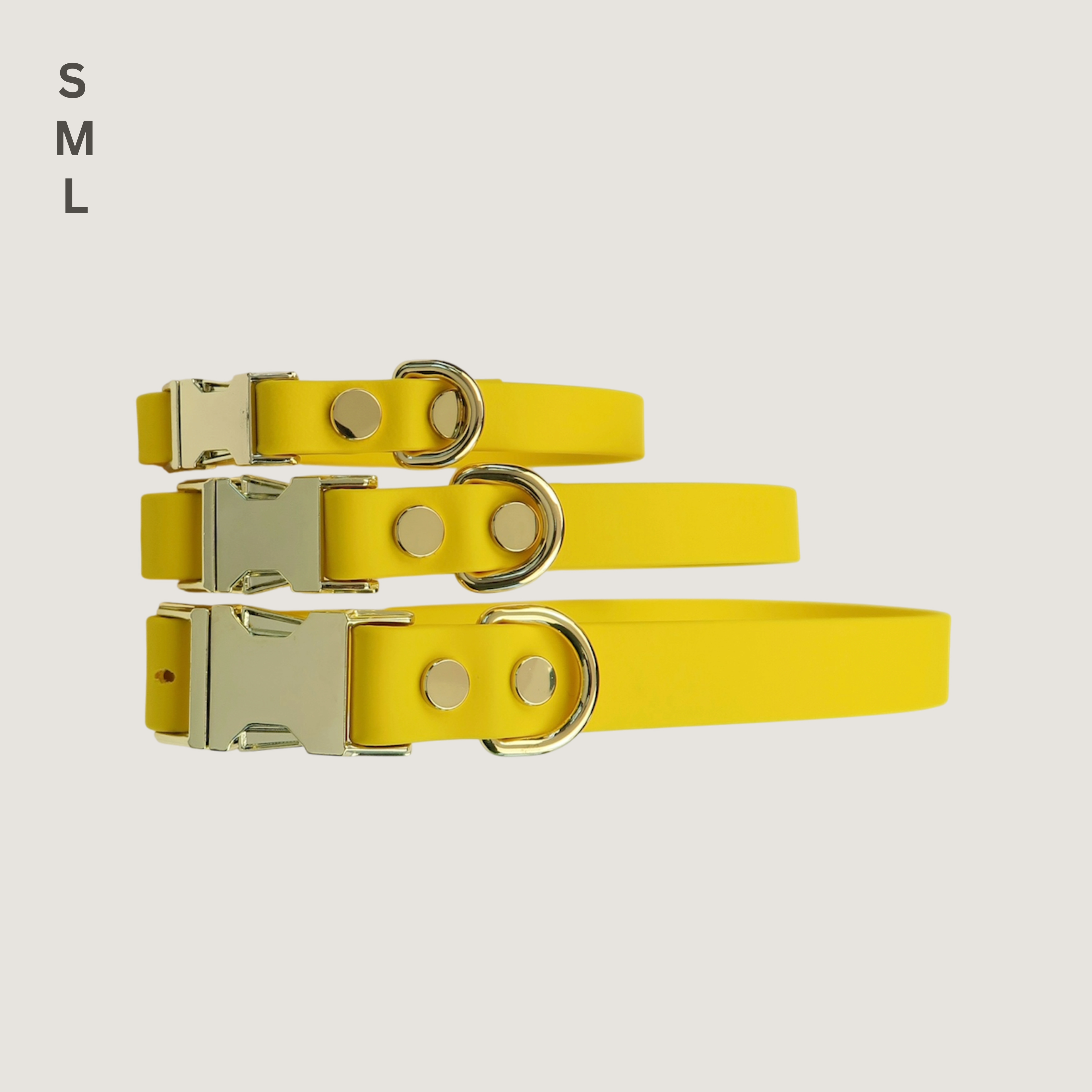 Large Dog Collar Texas Sunflower