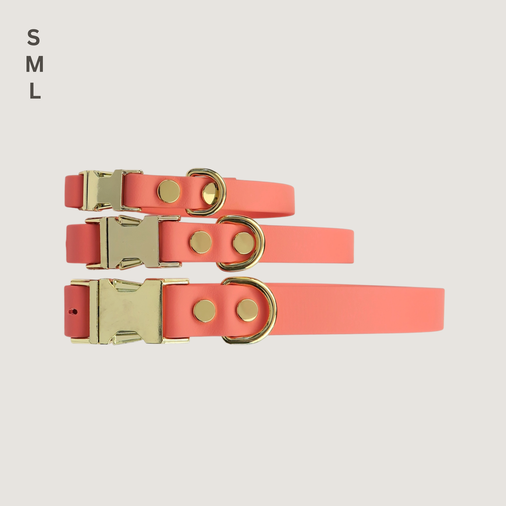 Medium Dog Collar Texas Sunset